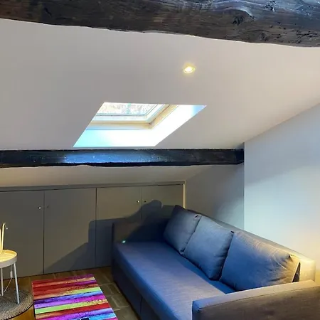 Le Petit Arloing-studio Quais De Saone Vaise Апартаменты *