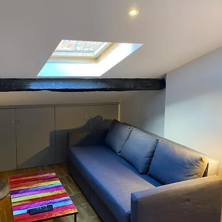 Appartamento Le Petit Arloing-studio Quais De Saone Vaise Lione