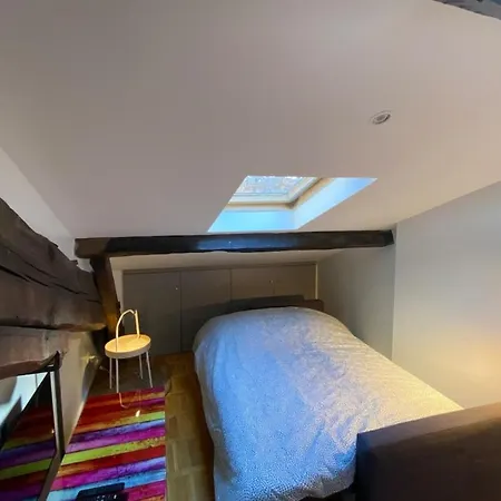 Le Petit Arloing-studio Quais De Saone Vaise شقة ليون