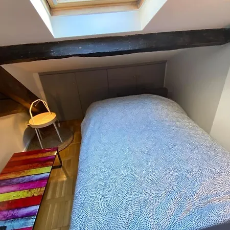 شقة Le Petit Arloing-studio Quais De Saone Vaise ليون