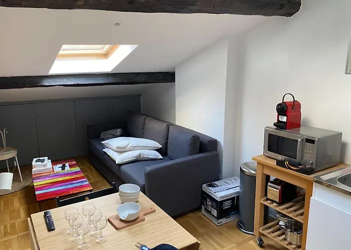 Le Petit Arloing-studio Quais De Saone Vaise Appartamento *