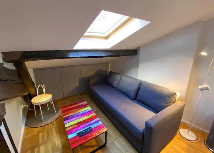 Appartamento Le Petit Arloing-studio Quais De Saone Vaise Lione