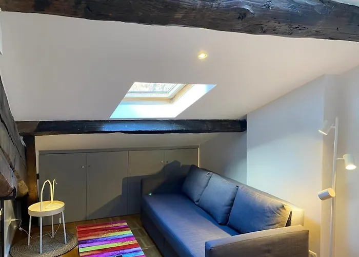 Le Petit Arloing-studio Quais De Saone Vaise Appartamento *