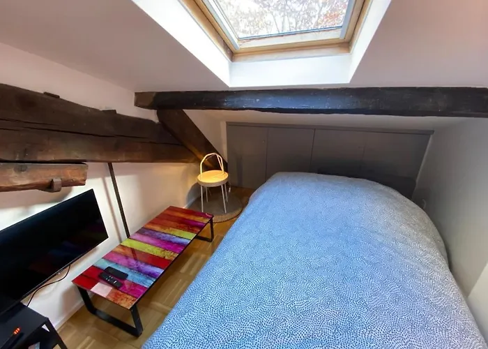 Appartamento Le Petit Arloing-studio Quais De Saone Vaise