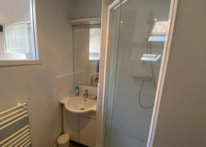 Appartamento Le Petit Arloing-studio Quais De Saone Vaise Lione