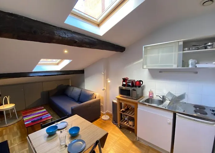 Appartamento Le Petit Arloing-studio Quais De Saone Vaise Lione