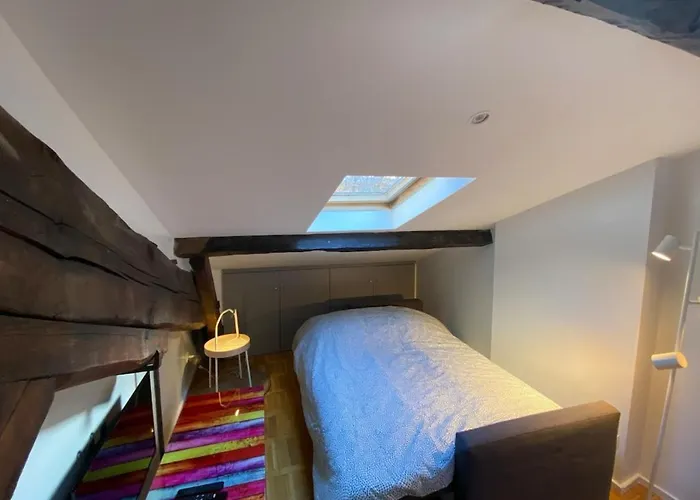 Le Petit Arloing-studio Quais De Saone Vaise Appartamento Lione