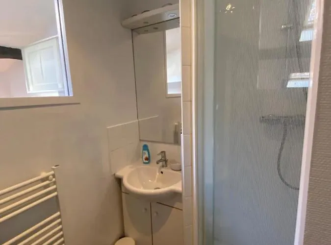 Le Petit Arloing-studio Quais De Saone Vaise Appartamento Lione